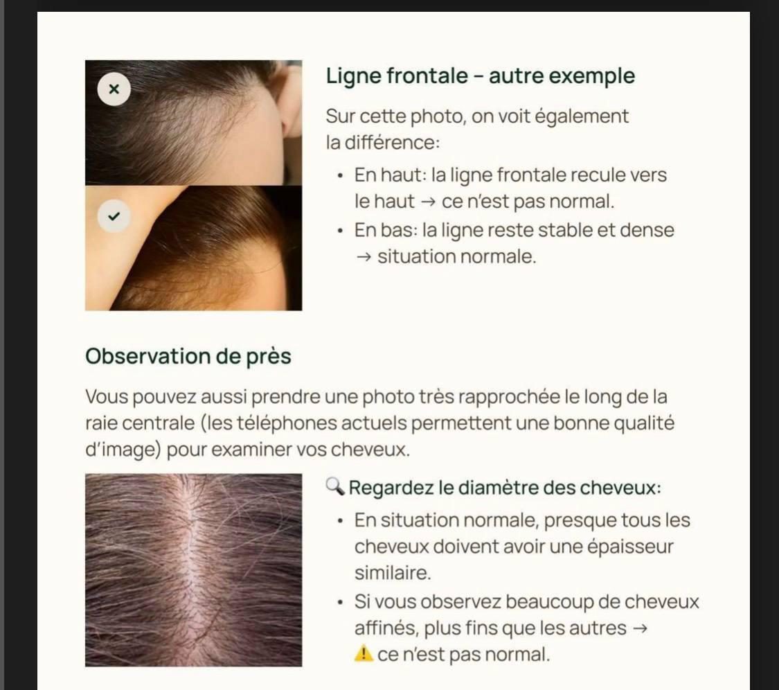 Guide photo, page 4